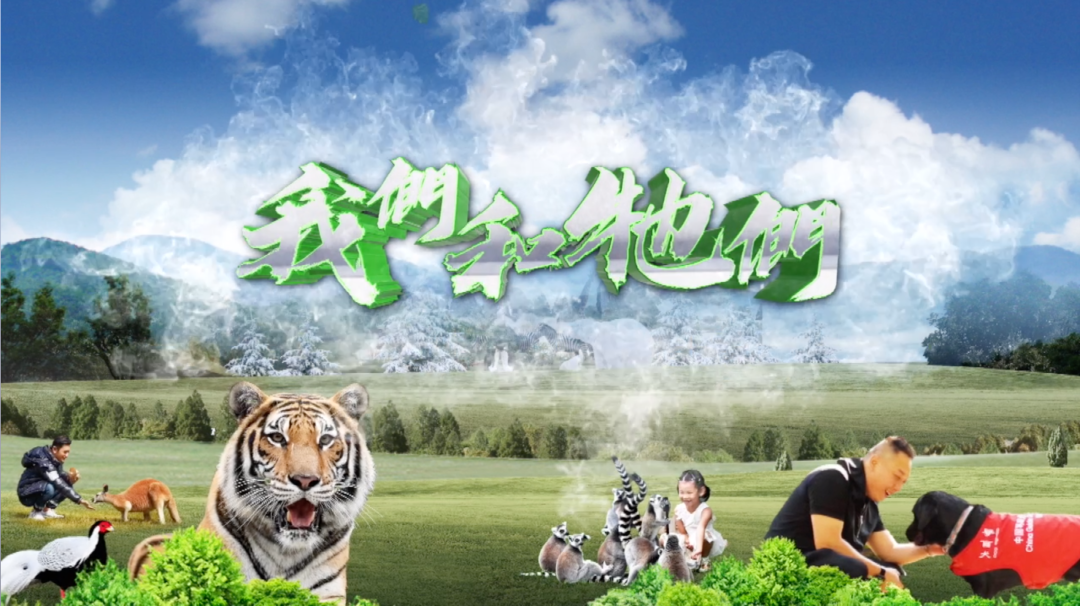 ԭϵĿǺǡײԤĻȿ