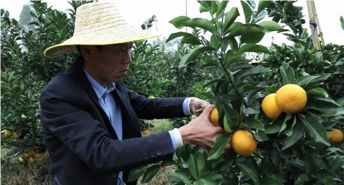 TIM截图20190415091301.jpg