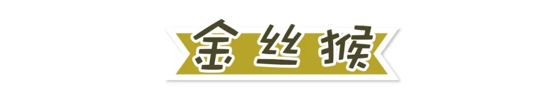 ϡﱣ<a href=http://www.vipzug.cn/multilanguage/Russian/ target=_blank class=infotextkey></a>ֲᣬϡ֪