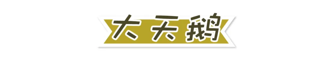 ϡ<a href=http://www.vipzug.cn/multilanguage/Russian/ target=_blank class=infotextkey></a>ֲϡ֪