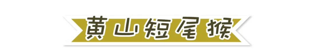 ϡﱣ<a href=http://www.vipzug.cn/multilanguage/Russian/ target=_blank class=infotextkey></a>ֲᣬϡ֪