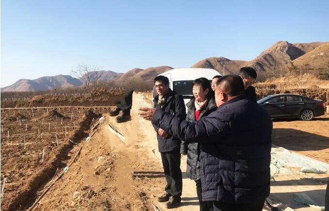 TIM截图20181219091926.jpg