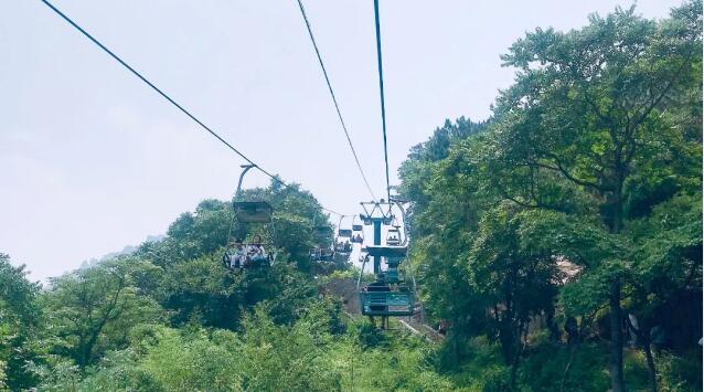 TIM截图20190717085501.jpg