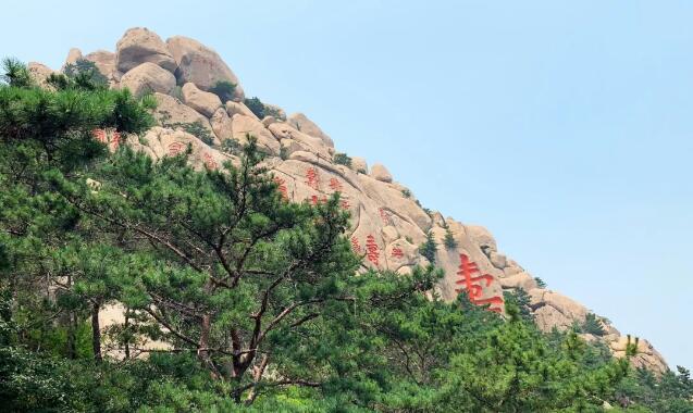 TIM截图20190717085430.jpg