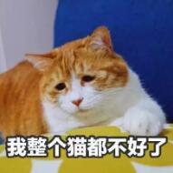 TIMͼ20180718094430.jpg