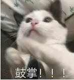 TIM截图20181220091022.jpg