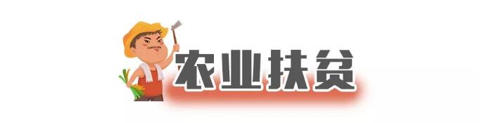 TIM截图20181210093205.jpg