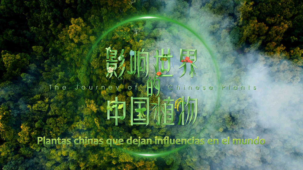 ֽǶȿйЩּ¼Ƭ㶼