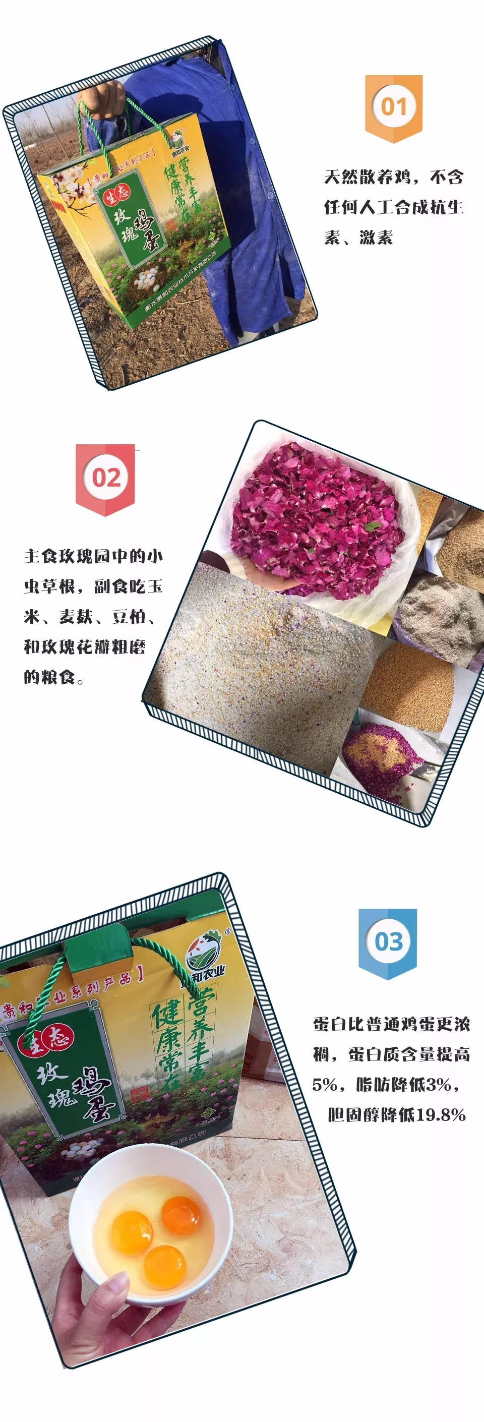 640.webp (20).jpg