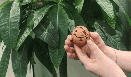 640 (10).gif