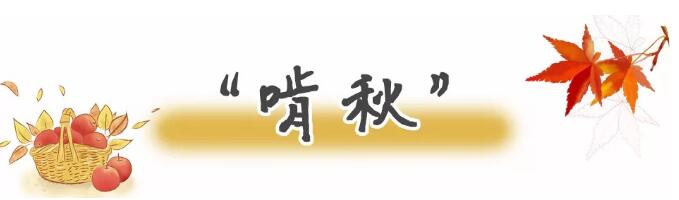 TIM截图20180809091224.jpg