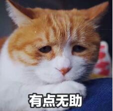 TIM截图20180921090014.jpg