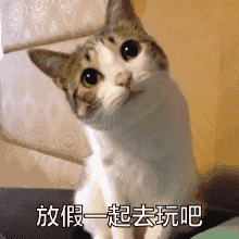 640 (1).gif