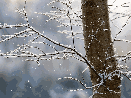 640 (1).gif