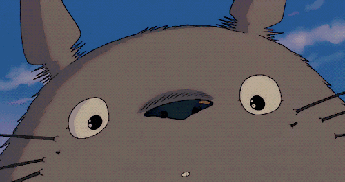 640 (1).gif