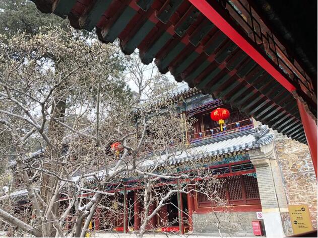 TIM截图20190218091651.jpg