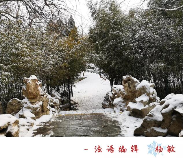 TIM截图20190218091747.jpg