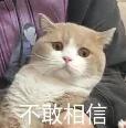 TIM截图20190402090918.jpg