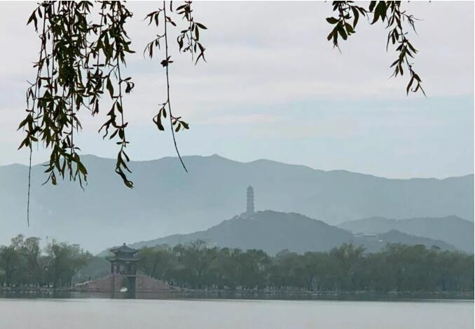 TIM截图20190416085757.jpg