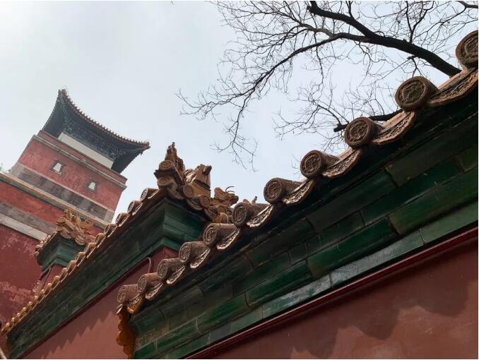 TIM截图20190416085748.jpg