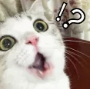TIM½ØÍ¼20190522085822.png
