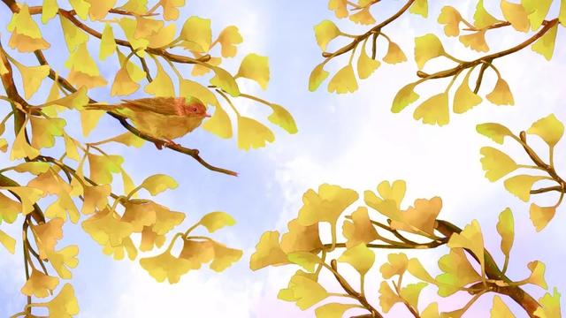 ʮһ | ޶ѱ