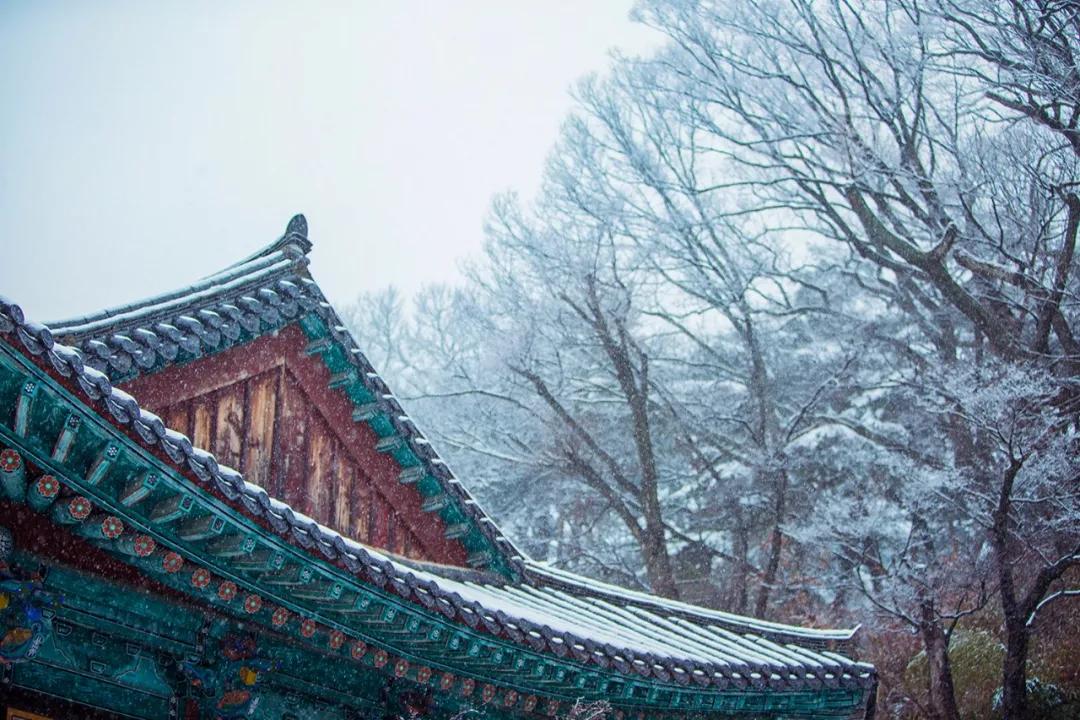 &캮ůƬ¼ºͶĹ°