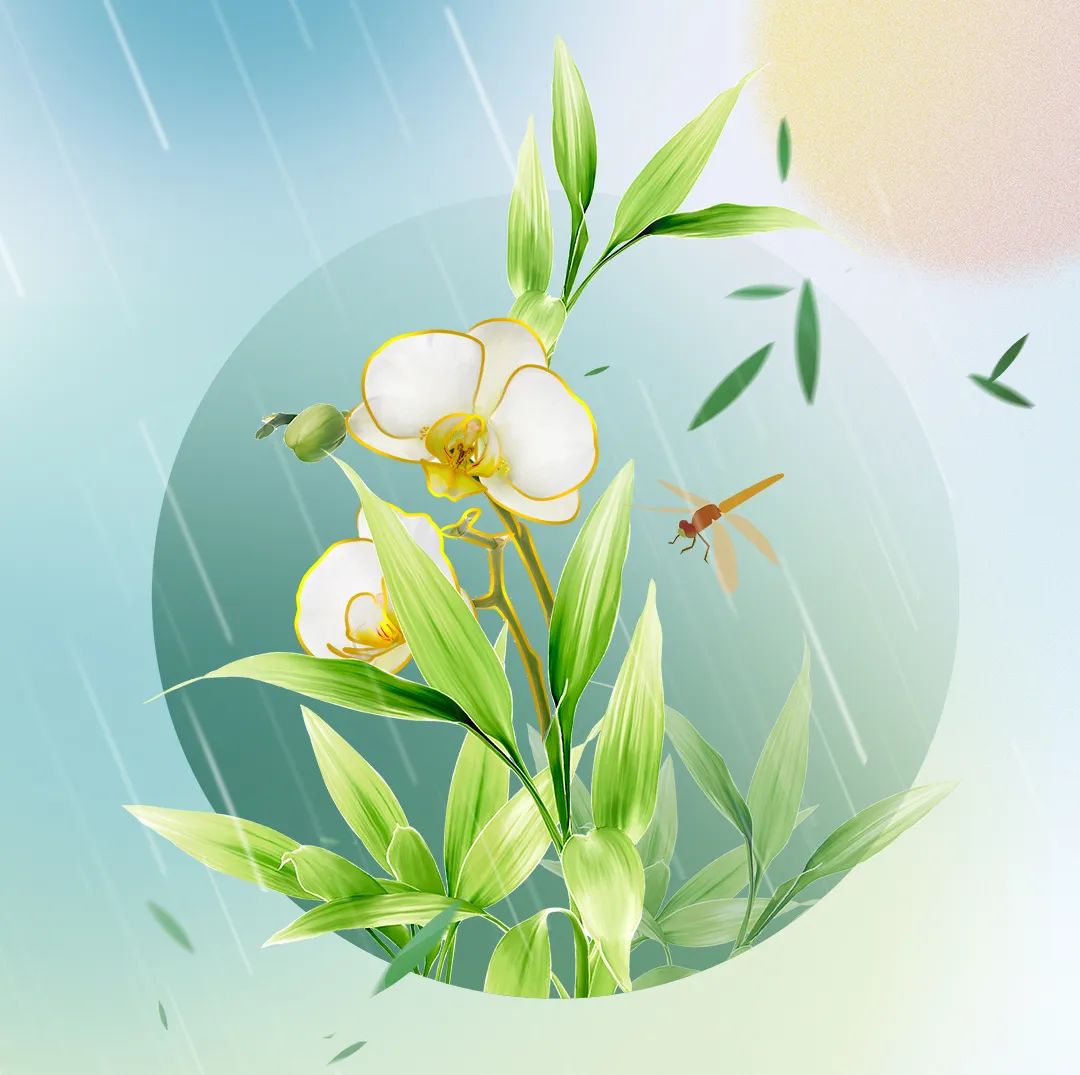 չ | һЩϰ˽